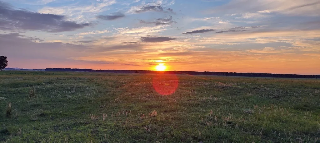 金荷银烛夜如年，回首阳台云缥缈打一生肖，准确答案解答(图1)