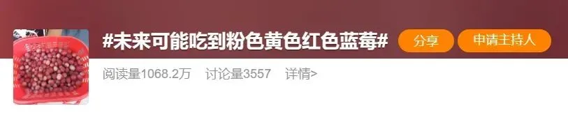 揭秘粉色蓝莓：品种、花青素含量与种植技术【金色港湾资讯】(图9)