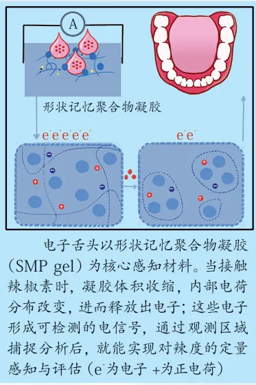 优化后的标题:人造舌头革新辣度测定,无需试吃即可精准测量(图6) 人造舌头革新辣度测定,无需试吃即可精准测量(图6)