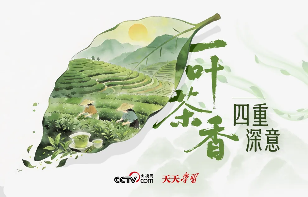优化后的标题:总书记足迹下的茶香:茶产业扶贫与文化外交深意(图2) 总书记足迹下的茶香:茶产业扶贫与文化外交深意(图2)
