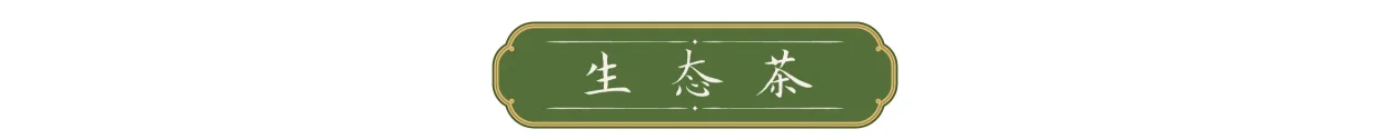 优化后的标题:总书记足迹下的茶香:茶产业扶贫与文化外交深意(图5) 总书记足迹下的茶香:茶产业扶贫与文化外交深意(图5)