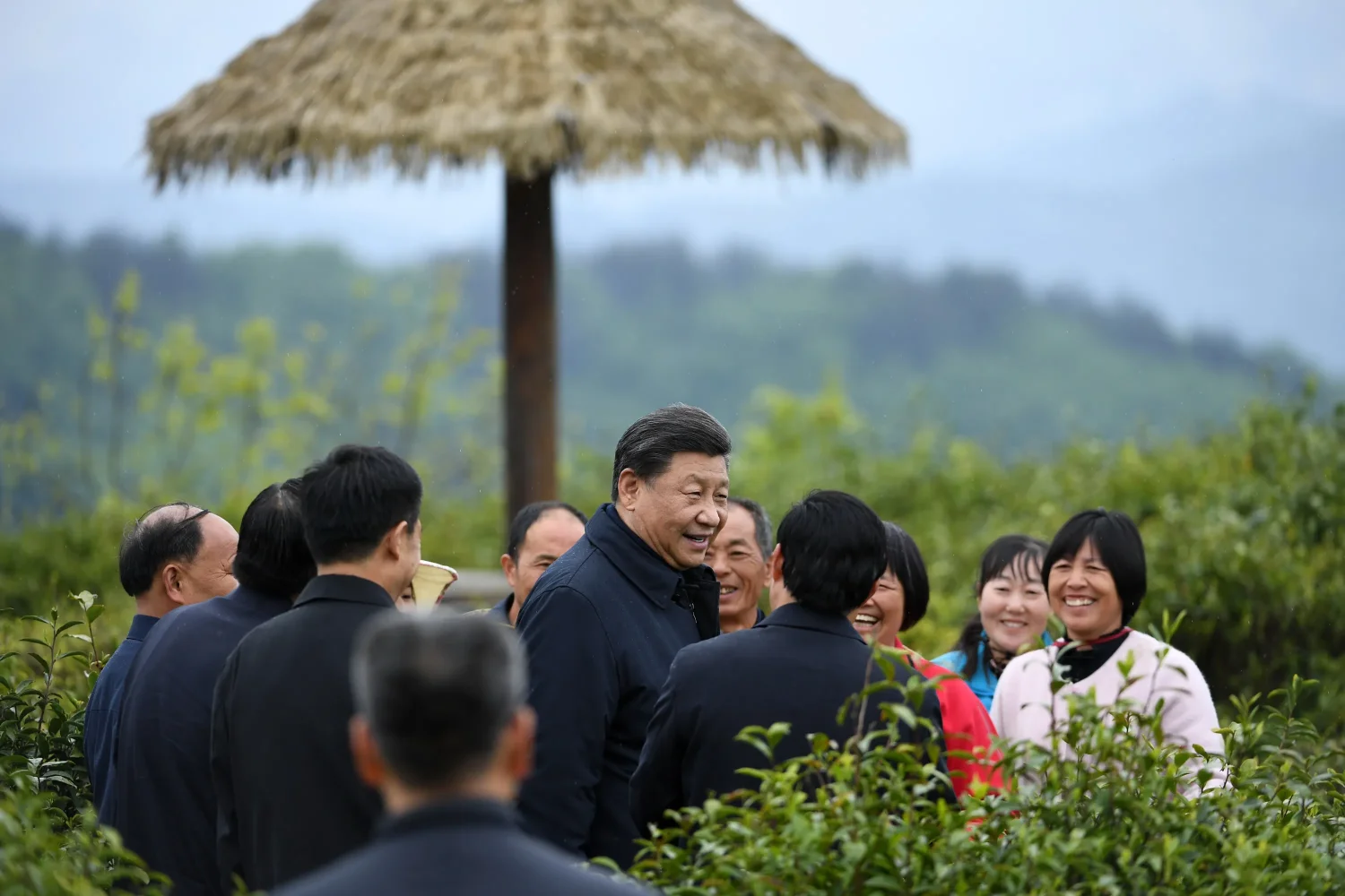 优化后的标题:总书记足迹下的茶香:茶产业扶贫与文化外交深意(图8) 总书记足迹下的茶香:茶产业扶贫与文化外交深意(图8)