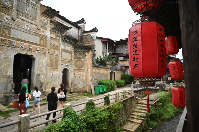 优化后的标题:总书记足迹下的茶香:茶产业扶贫与文化外交深意(图10) 总书记足迹下的茶香:茶产业扶贫与文化外交深意(图10)