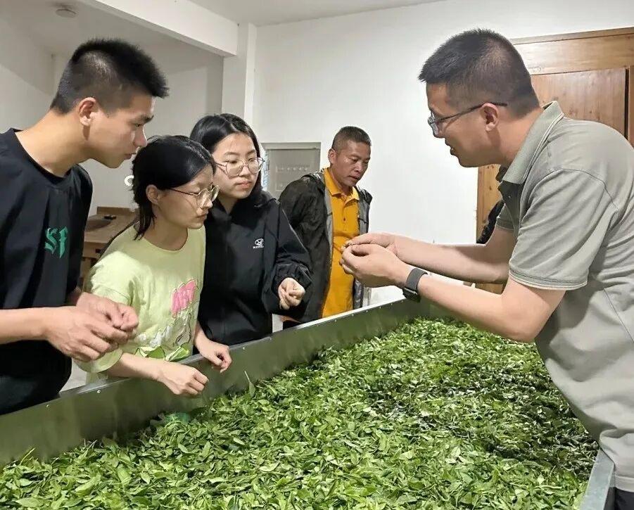 盘点福建特色产业学院，看其如何为县域经济注入动力(图2)