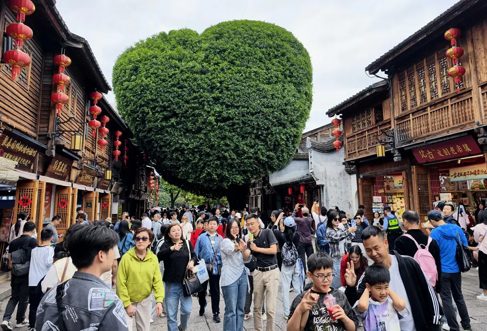 优化后的标题：习近平古槐树案例：党员干部如何树立政绩观？(图4)