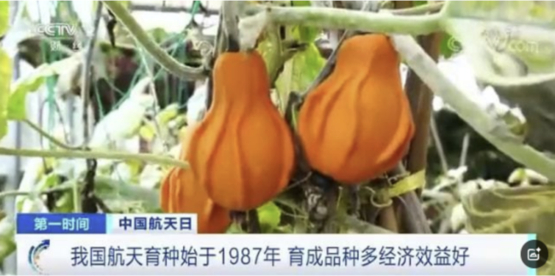 神舟上天跟我三千块有啥关系？这些航天技术早就进了你生活(图1)