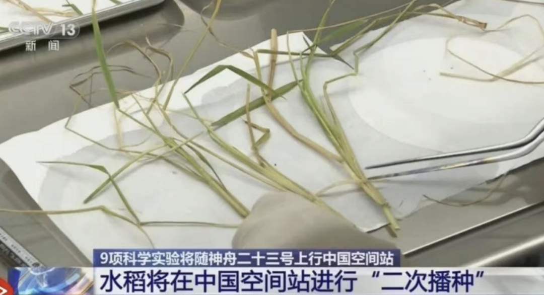神舟上天跟我三千块有啥关系？这些航天技术早就进了你生活(图5)
