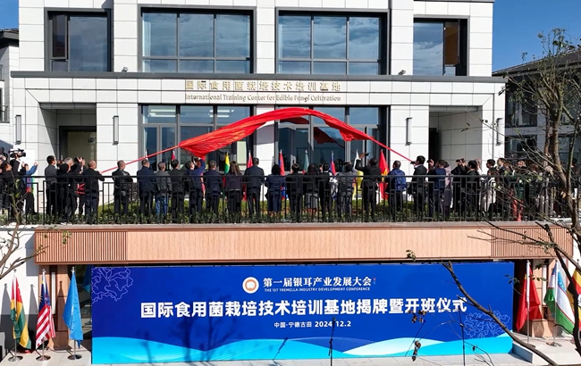 古田食用菌产业产值315亿，农民收入六成靠菌菇(图2)