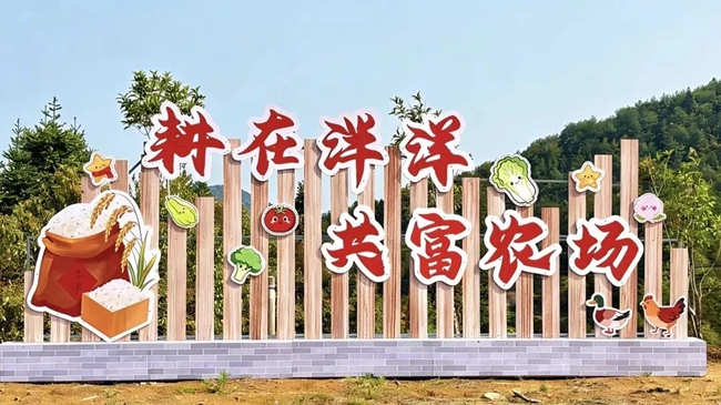 古田食用菌产业产值315亿，农民收入六成靠菌菇(图4)