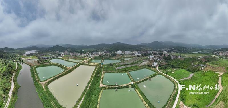 乡村振兴怎么干？福建现场会学福清经验，农民增收有门路(图1)