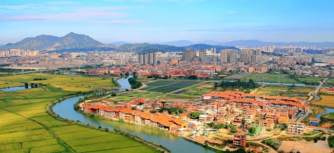 晋江九十九溪田园风光，400多种鸟儿的生态家园(图1)