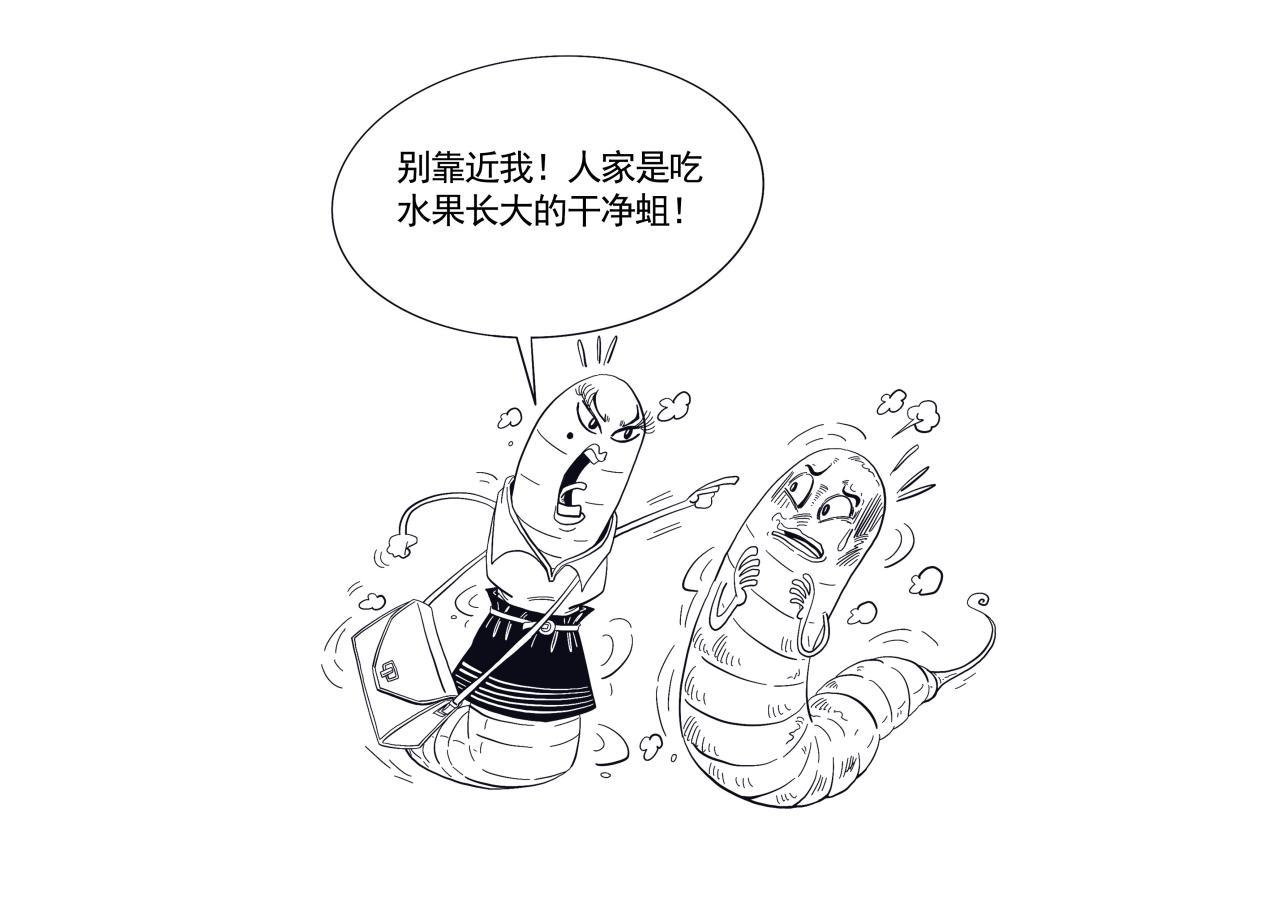杨梅樱桃长蛆还能吃吗？果蝇蛆无害别担心(图1)