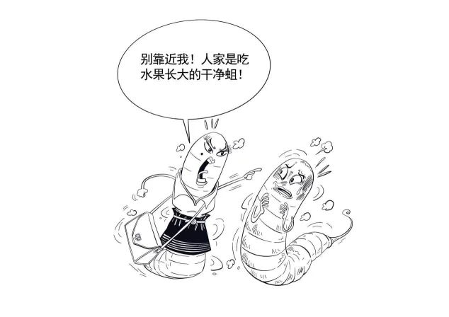 杨梅樱桃长蛆还能吃吗？果蝇蛆无害别担心