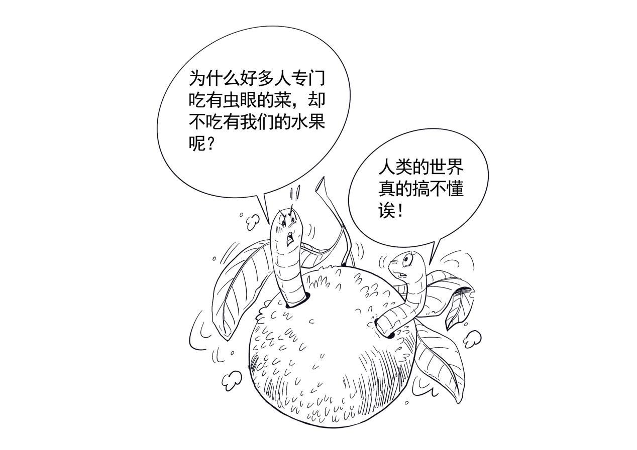杨梅樱桃长蛆还能吃吗？果蝇蛆无害别担心(图2)