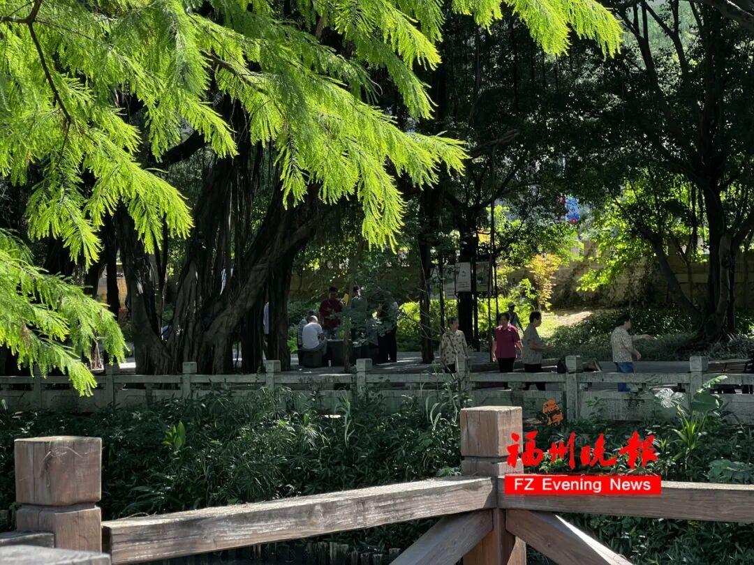 福州高温来袭，台风蔷薇升级，大风影响东海海域(图4)
