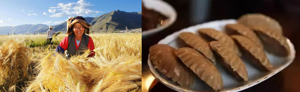 大麦：被低估的万年谷物，从啤酒到健康主食的宝藏(图6)