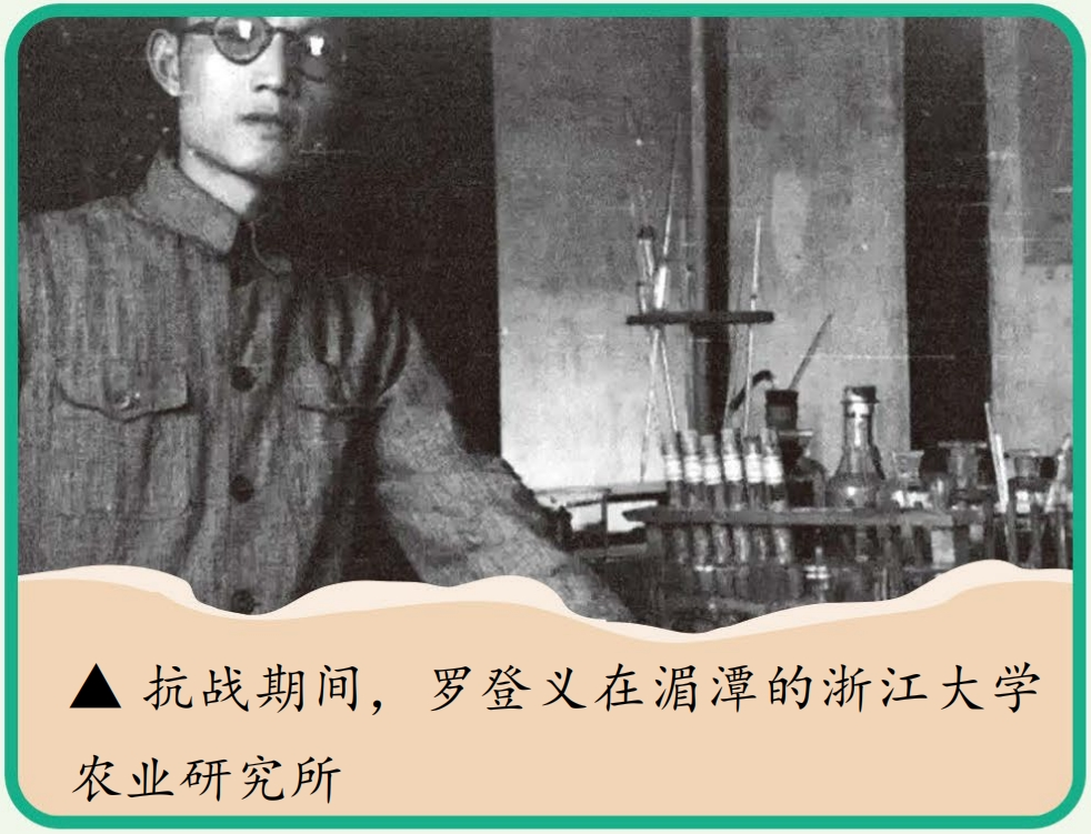 罗登义：破解粗粮营养密码，让国人吃饱吃好(图3)