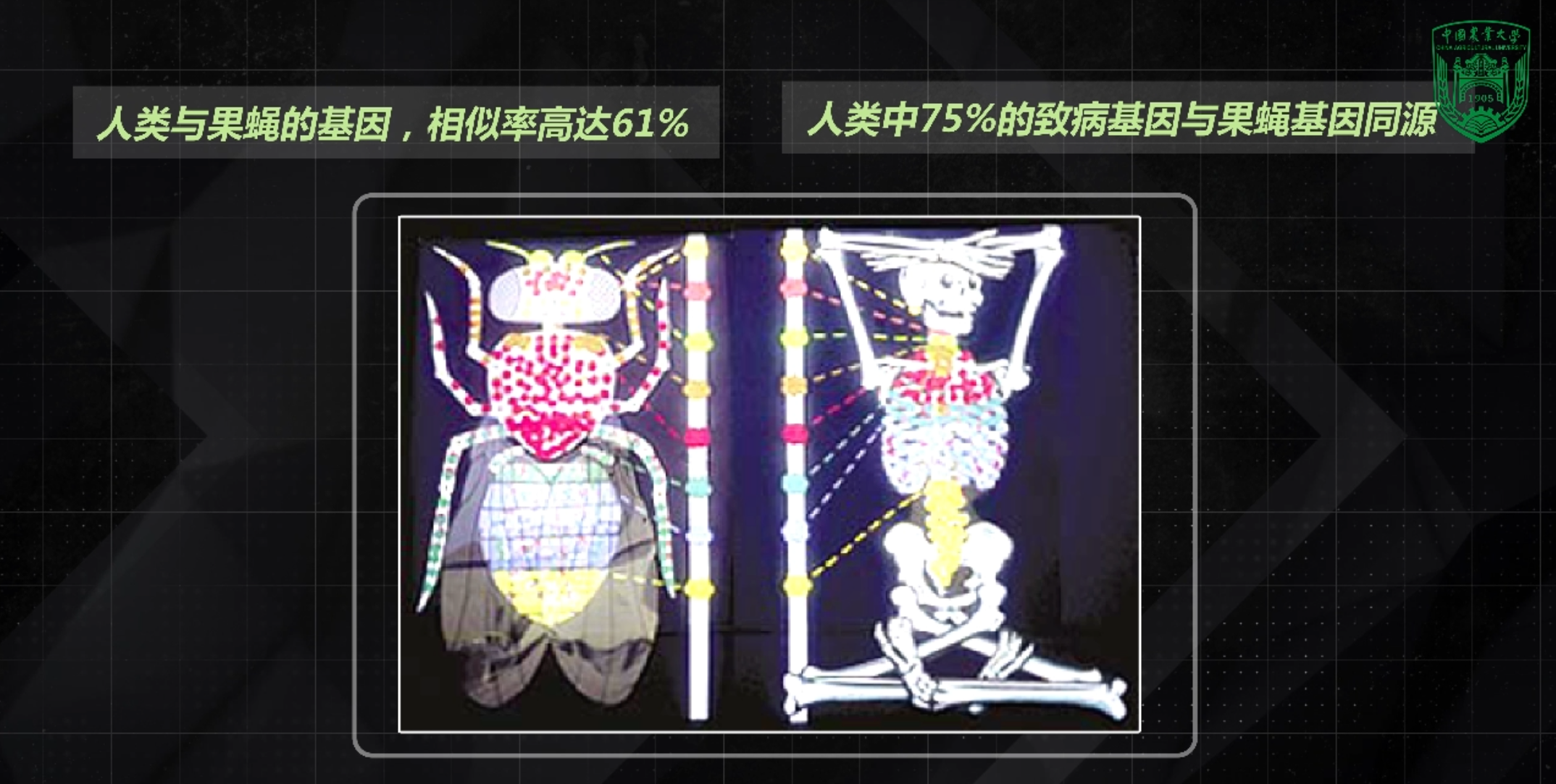 蚊子每年害死70万人，除了消灭还有别的出路吗？(图3)