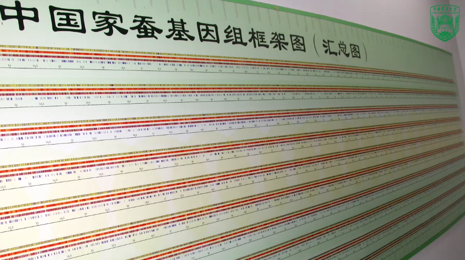 蚊子每年害死70万人，除了消灭还有别的出路吗？(图4)