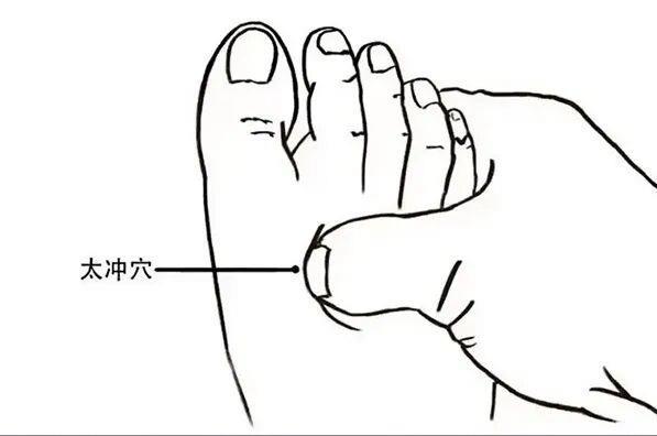 2026高考冲刺：吃好睡好稳住心态，这份锦囊请收好(图3)