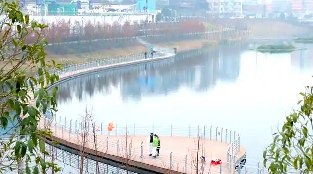 婚姻幸福秘诀：每天15分钟倾听，提升47%满意度(图7)