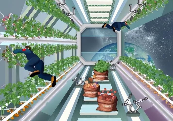 太空种菜种水稻，航天员为啥这么拼？带你揭秘天宫农场真相(图2)