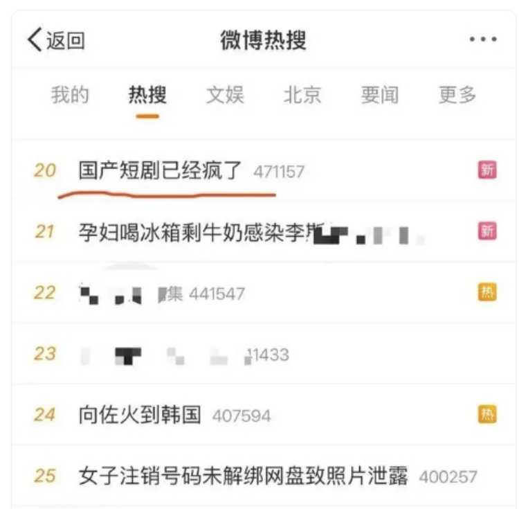 老年人情感陪伴需求下，霸总短剧为何爆火？(图3)