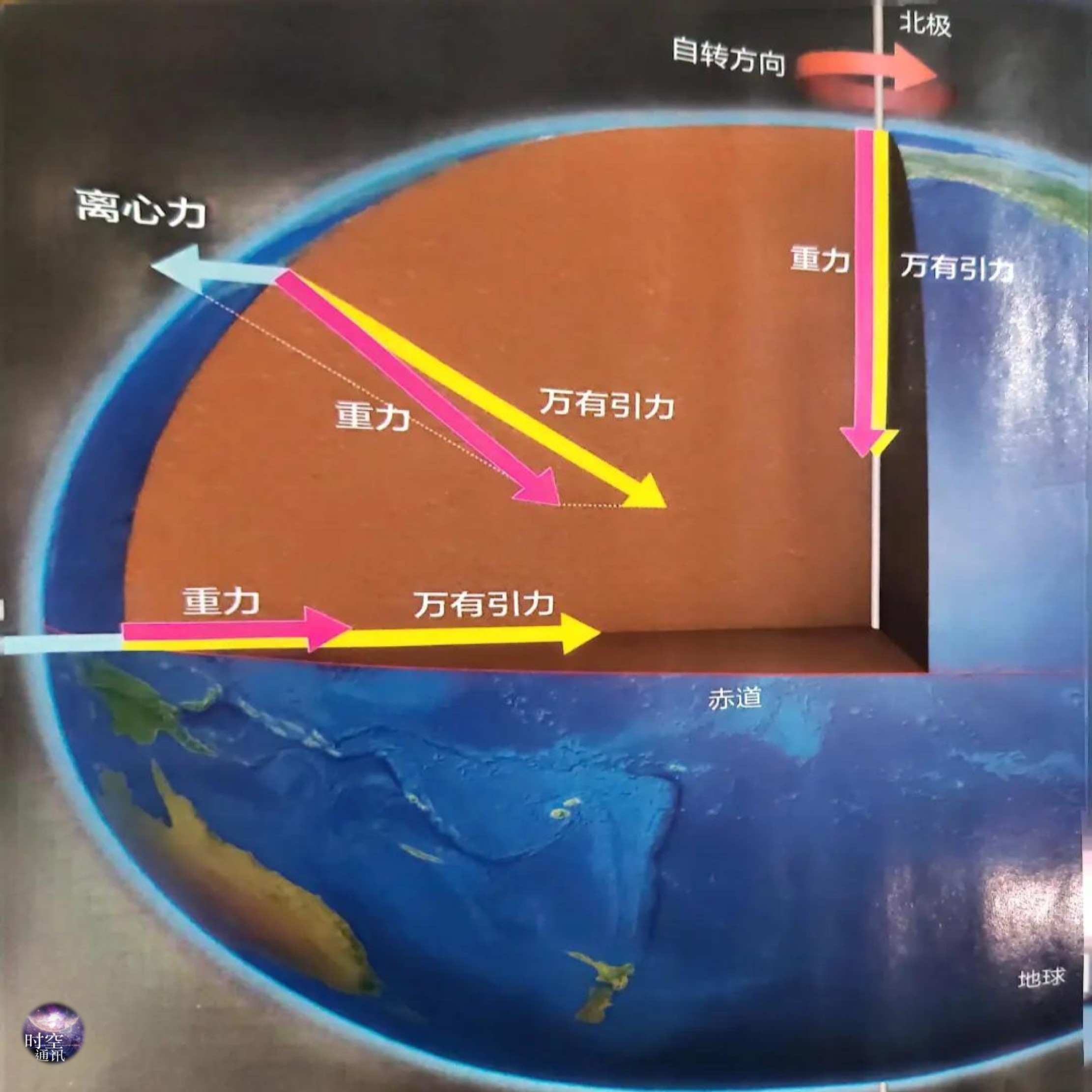 称重时棉花比铁轻？空气浮力影响大揭秘(图3)
