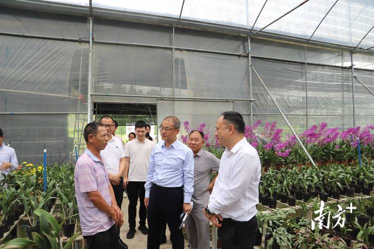 福建省委书记南平调研 聚焦生态与产业融合发展(图2)