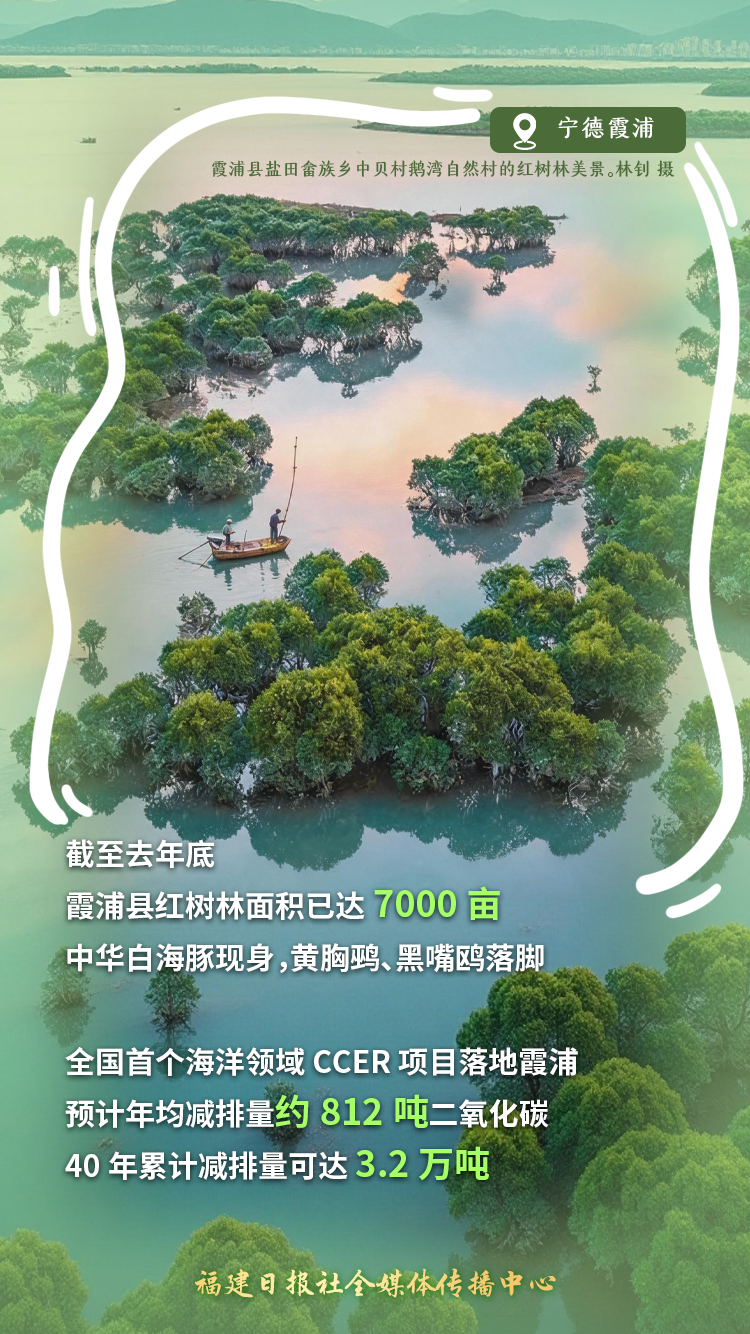福建环境有多好？森林覆盖65.85%，连续47年全国第一(图1)