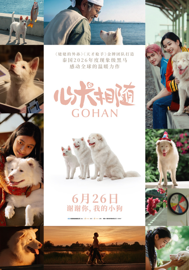 泰国黑马电影心犬相随定档6.26 流浪狗十年治愈之旅(图1)