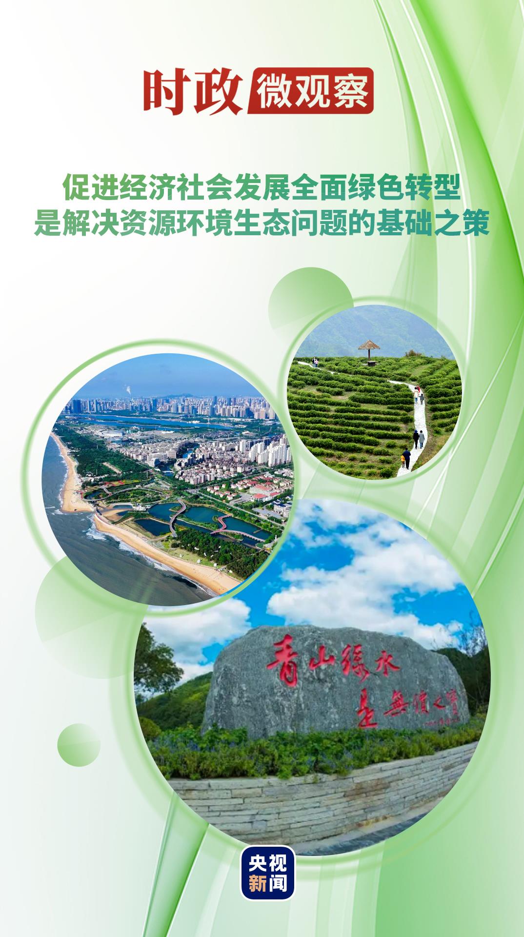 青山绿水是无价之宝：福建常口村拒绝20万卖林的故事(图1)