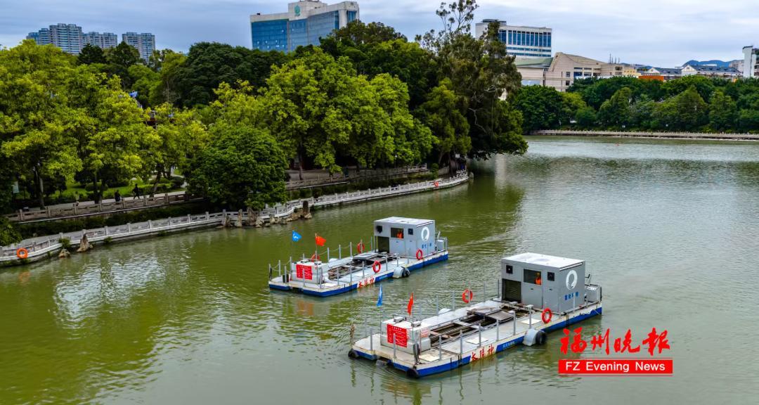 福州西湖首次种水下森林，6月底变身水下森林(图3)