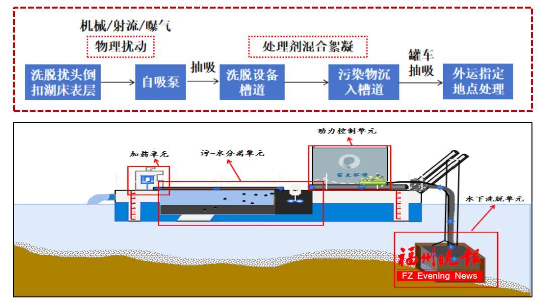 福州西湖首次种水下森林，6月底变身水下森林(图4)