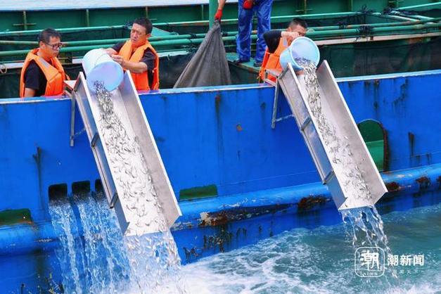 福建启动水生生物放流 福州放170万尾 全省超8亿尾(图2)