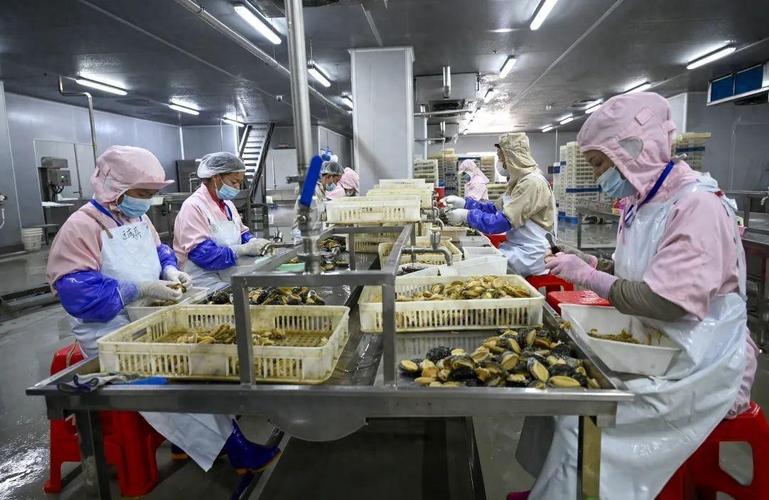 开袋即食鲍鱼零食，脆弹鲜香，源头直供全国(图1)