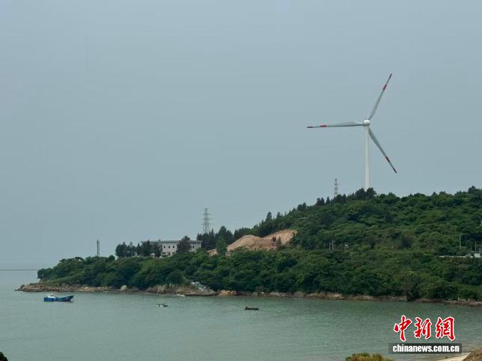 大陈岛生态修复变宝藏，海岛共富路这样走