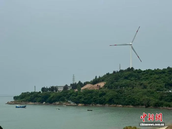 大陈岛生态修复变宝藏，海岛共富路这样走