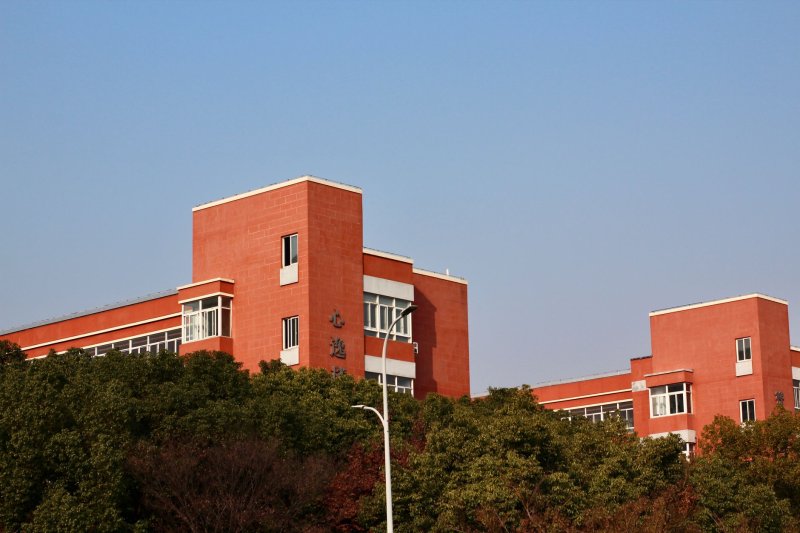 网友建“后悔”小组讨论专业“痛点”分享经验