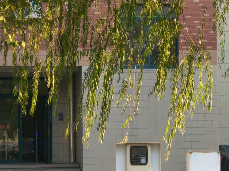 车企自建桩而优先自家车主是否合理?不建充电桩