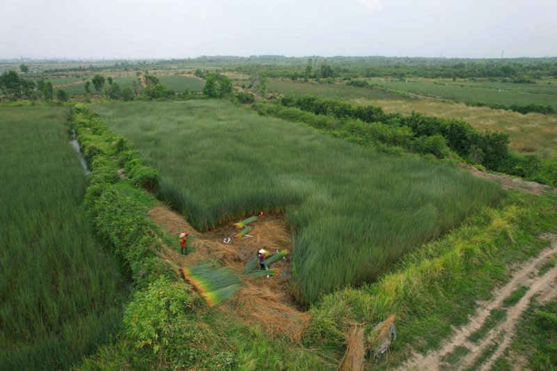 治理退化草原12.8亿亩生态建设工程成效显著