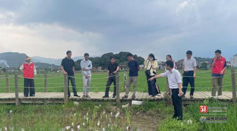 水稻专家下田送技术，农户如何用对水肥增产？(图2)