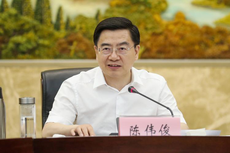 新疆原高官陈伟俊被双开，涉对抗审查、亲属谋利等严重违纪(图2)