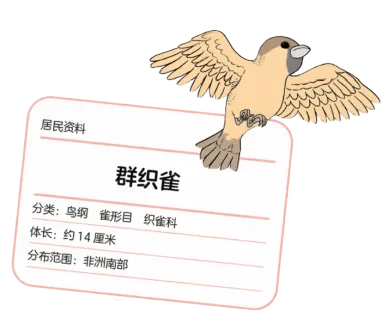 不会画图却造出恒温房和百年公寓，这些动物建筑师太牛了(图7)