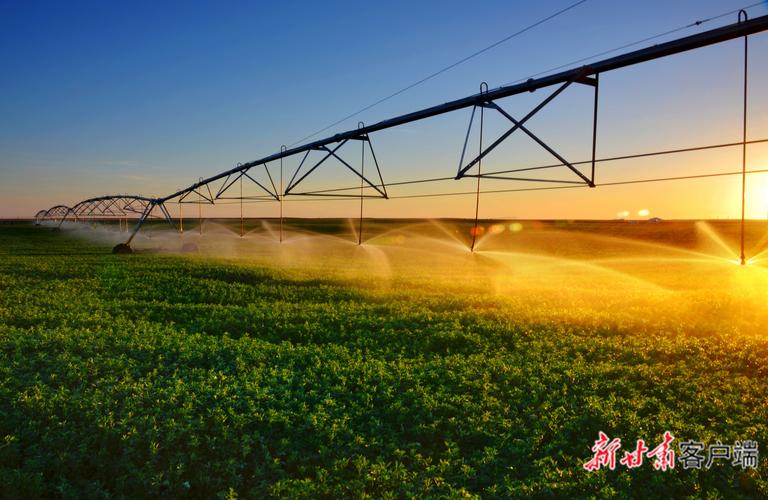 西部农业新科技：节水增产，特色经济双赢(图2)