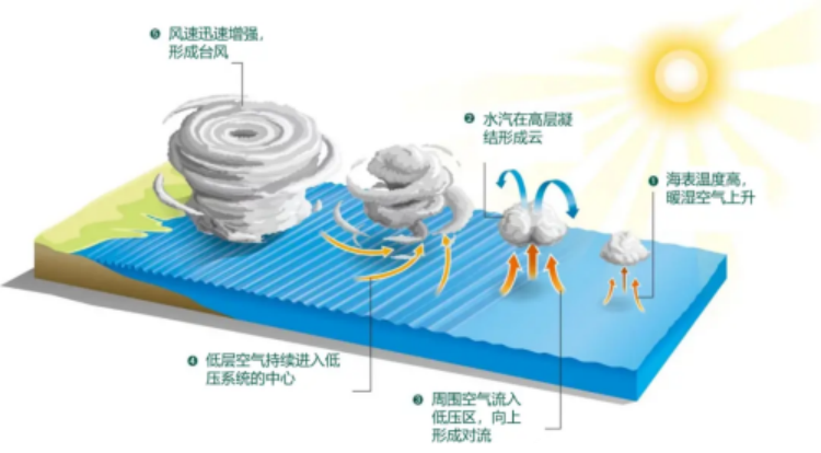 台风是什么？它的破坏力能量从哪来？(图2)