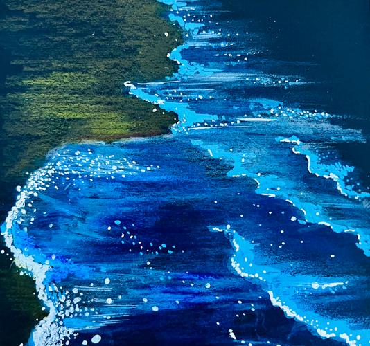 福建海洋生态报告：赤潮减少，生物多样性优于全国(图2)