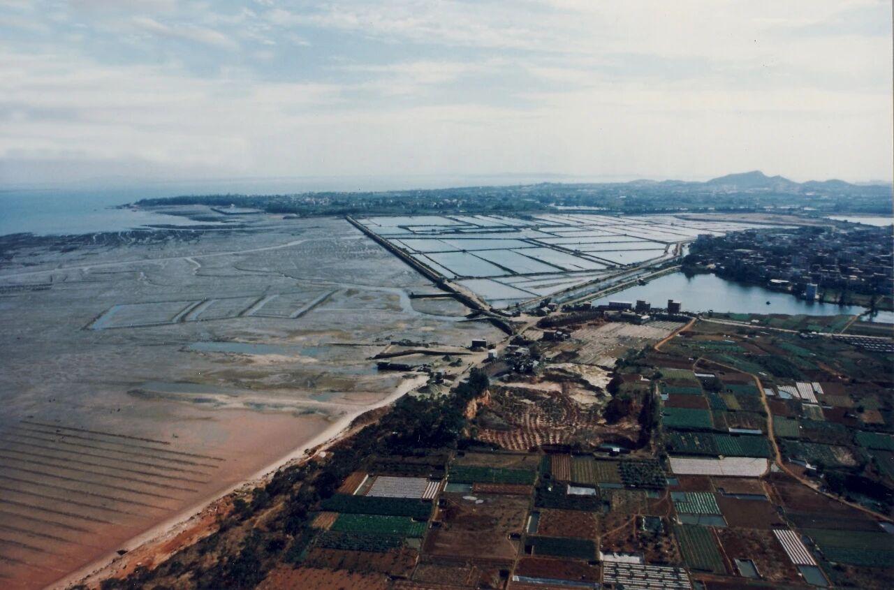 厦门五缘湾湿地公园：观栗喉蜂虎，看烂潮滩如何变城市绿肺(图2)