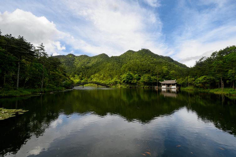 福建省委书记省长部署河湖林长制，推动绿色先行区建设(图1)
