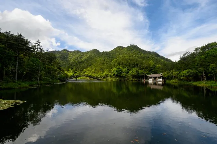 福建省委书记省长部署河湖林长制，推动绿色先行区建设
